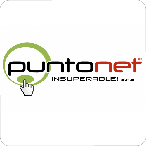 PuntoNet